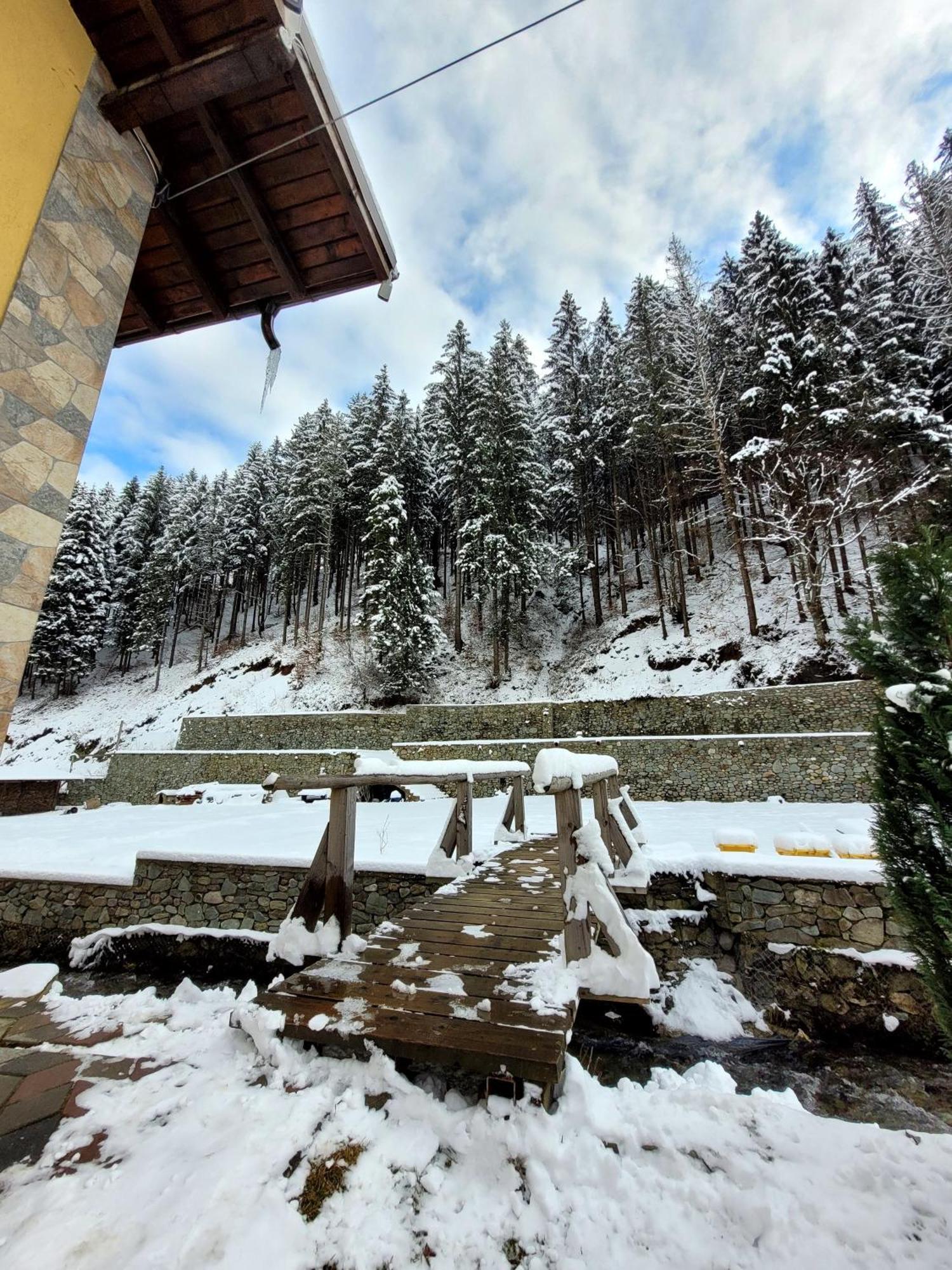 Casa Maryon Villa Rucăr Kültér fotó
